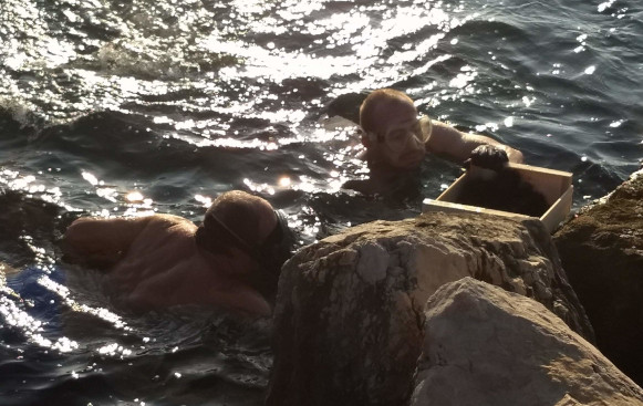 Michal and a friend collecting seafood from rocks by the sea